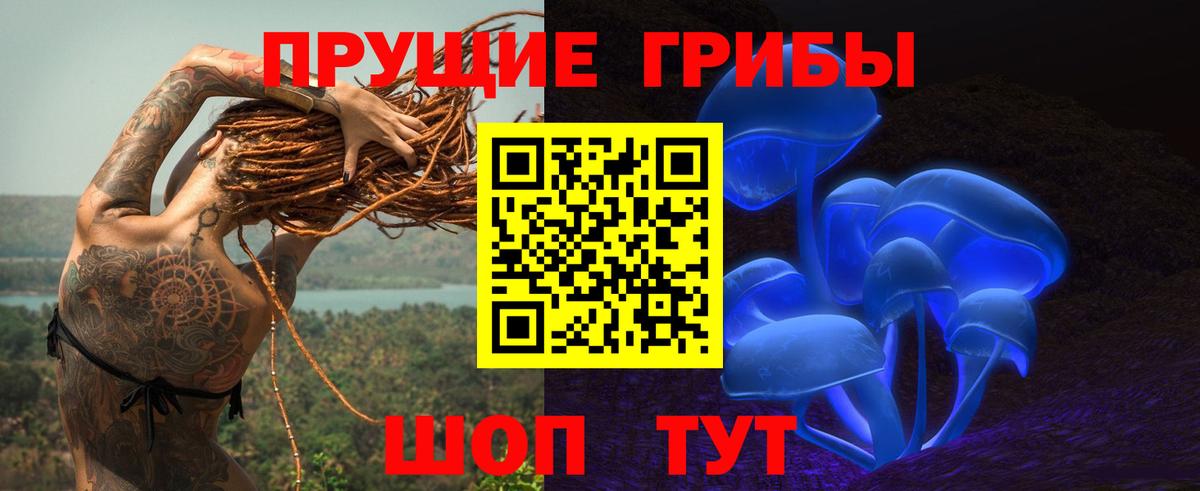Десногорск  Галлюциногенные грибы ЛСД  Вход с VPN 